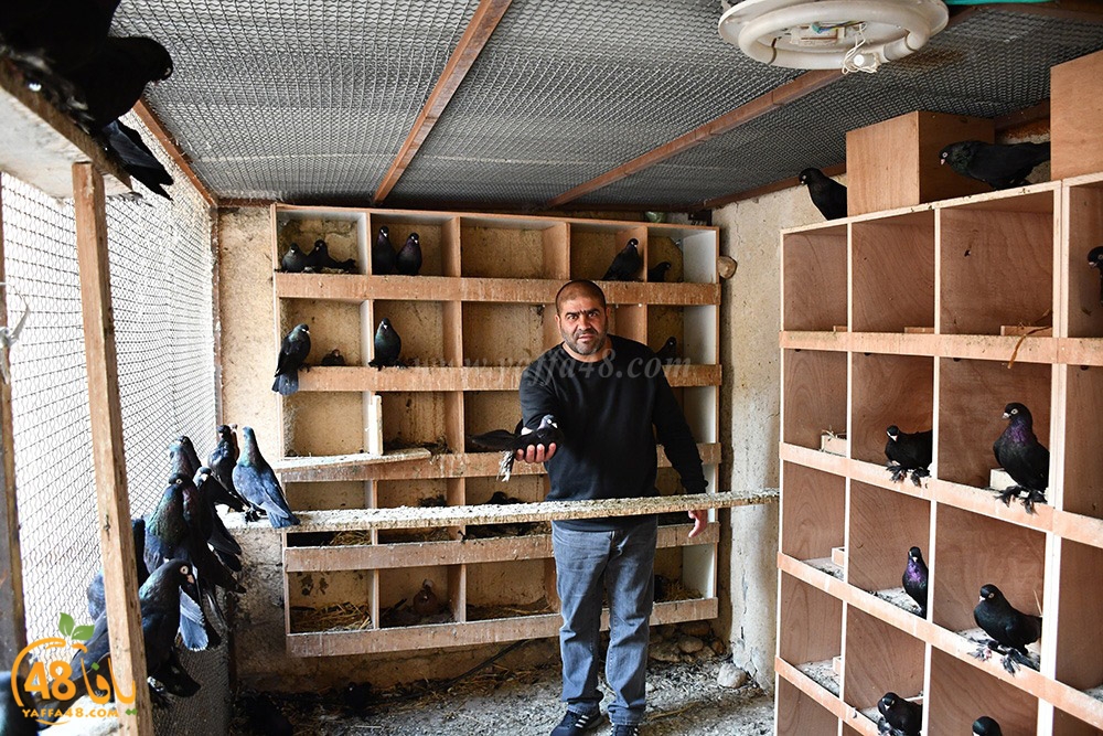 zohdi 3ashoor (124).jpeg